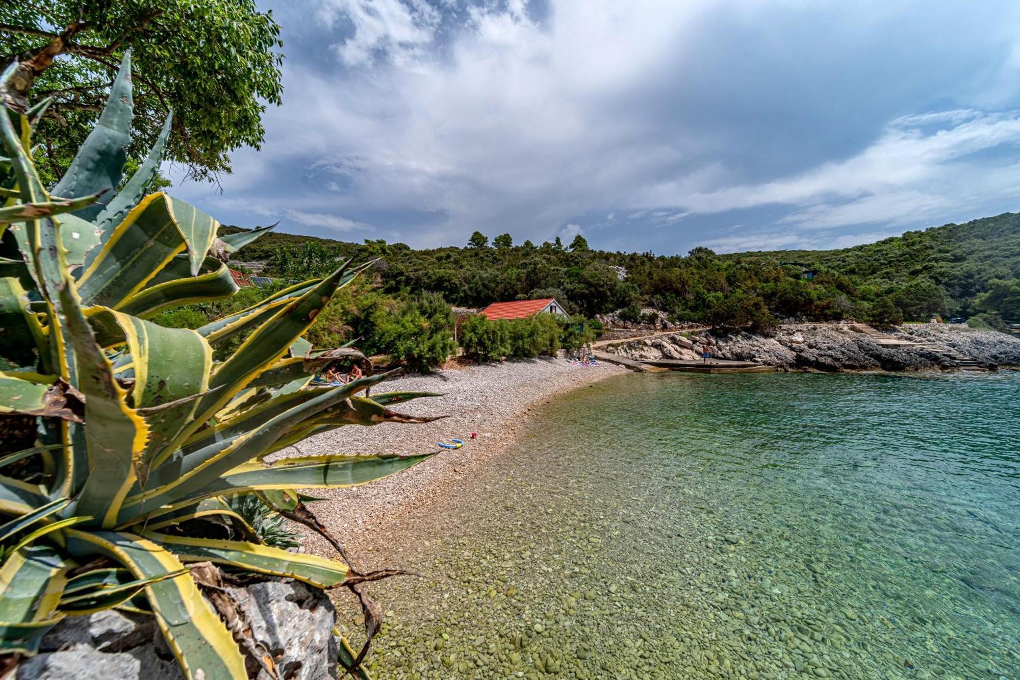 Seaside House For Families With Children Cove Rasohatica, Korcula - 4386 Lumbarda Eksteriør bilde
